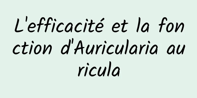 L'efficacité et la fonction d'Auricularia auricula