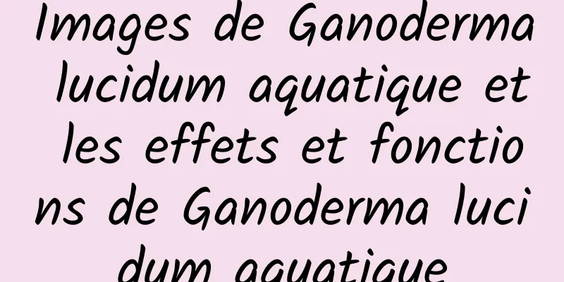 Images de Ganoderma lucidum aquatique et les effets et fonctions de Ganoderma lucidum aquatique