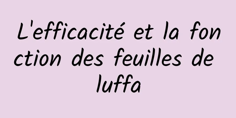 L'efficacité et la fonction des feuilles de luffa