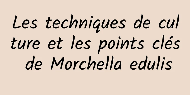 Les techniques de culture et les points clés de Morchella edulis