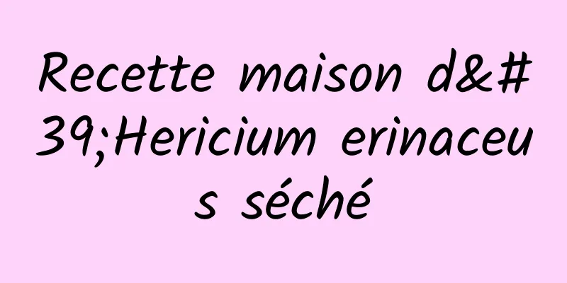 Recette maison d'Hericium erinaceus séché