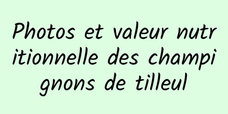 Photos et valeur nutritionnelle des champignons de tilleul