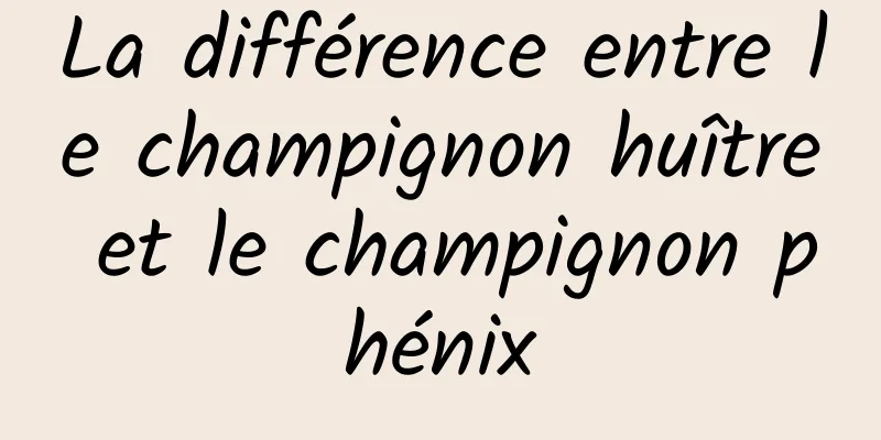 La différence entre le champignon huître et le champignon phénix