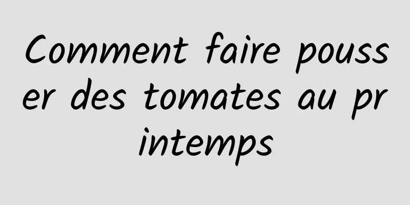 Comment faire pousser des tomates au printemps