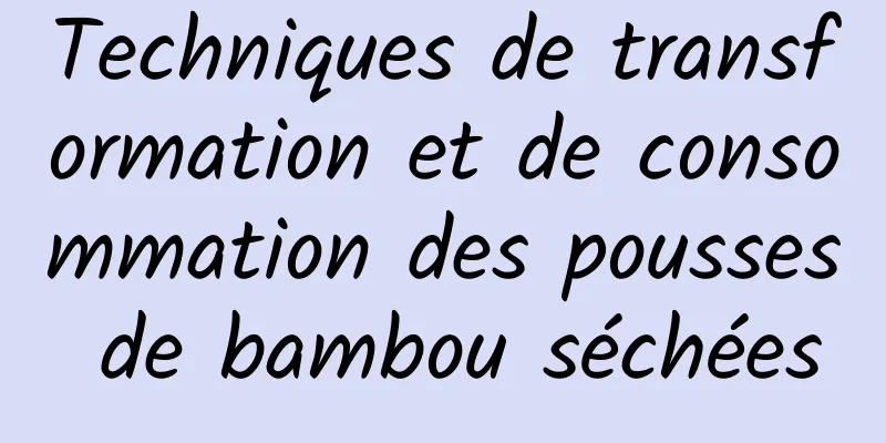 Techniques de transformation et de consommation des pousses de bambou séchées