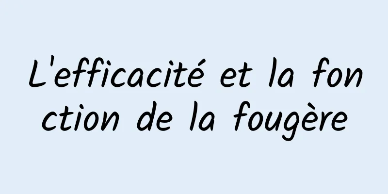 L'efficacité et la fonction de la fougère