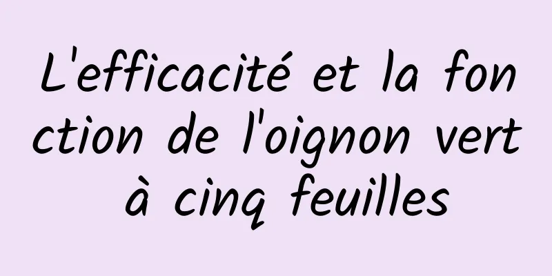 L'efficacité et la fonction de l'oignon vert à cinq feuilles