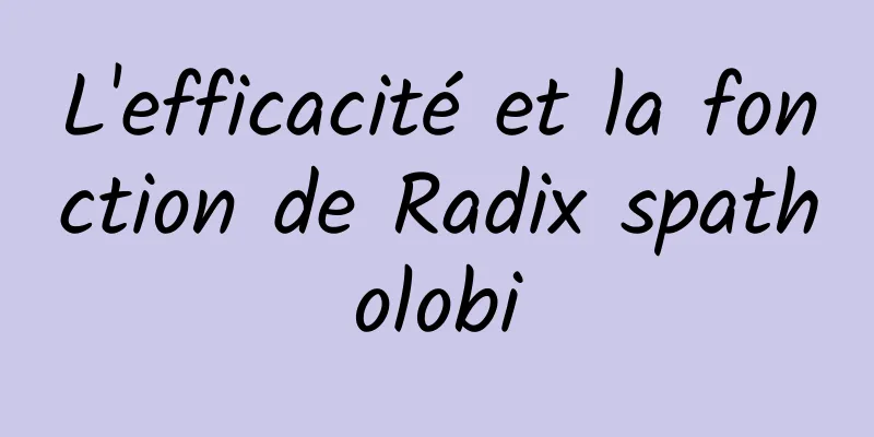 L'efficacité et la fonction de Radix spatholobi