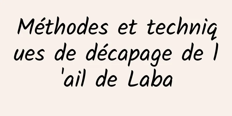 Méthodes et techniques de décapage de l'ail de Laba