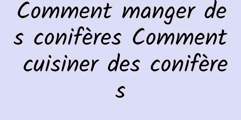 Comment manger des conifères Comment cuisiner des conifères