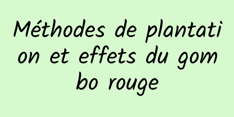 Méthodes de plantation et effets du gombo rouge