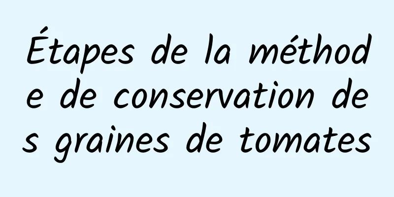 Étapes de la méthode de conservation des graines de tomates