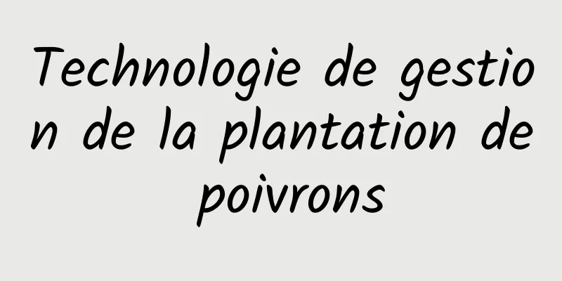 Technologie de gestion de la plantation de poivrons