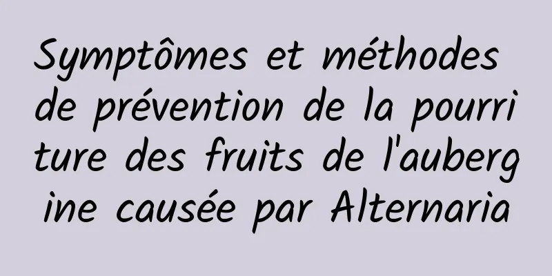 Symptômes et méthodes de prévention de la pourriture des fruits de l'aubergine causée par Alternaria