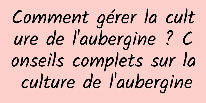 Comment gérer la culture de l'aubergine ? Conseils complets sur la culture de l'aubergine