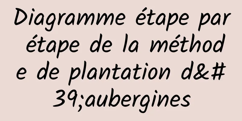 Diagramme étape par étape de la méthode de plantation d'aubergines