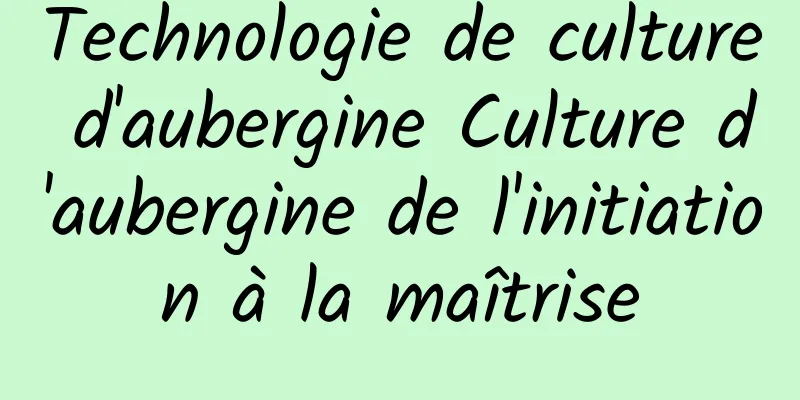 Technologie de culture d'aubergine Culture d'aubergine de l'initiation à la maîtrise