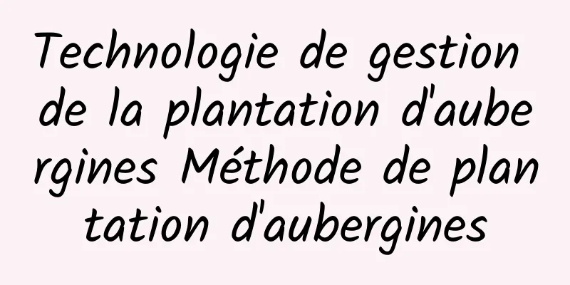 Technologie de gestion de la plantation d'aubergines Méthode de plantation d'aubergines