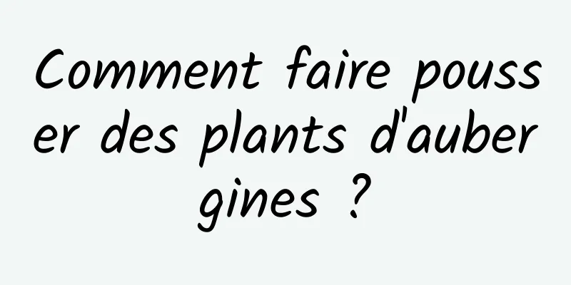 Comment faire pousser des plants d'aubergines ?