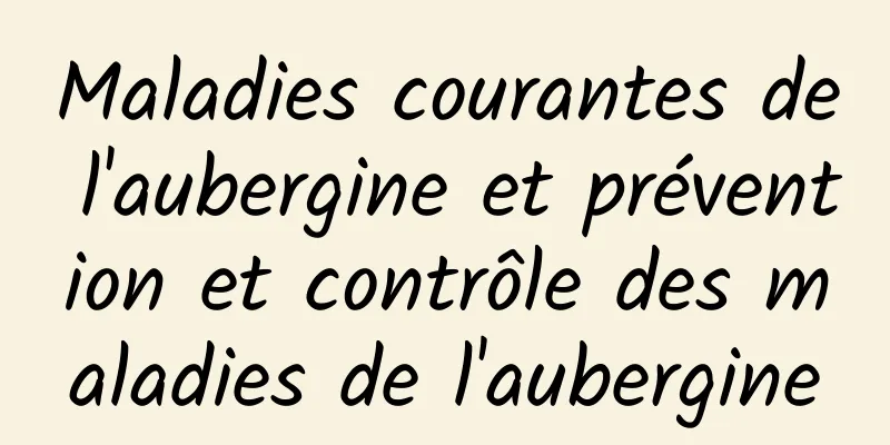 Maladies courantes de l'aubergine et prévention et contrôle des maladies de l'aubergine