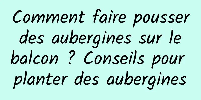 Comment faire pousser des aubergines sur le balcon ? Conseils pour planter des aubergines