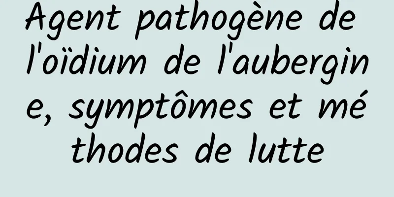 Agent pathogène de l'oïdium de l'aubergine, symptômes et méthodes de lutte