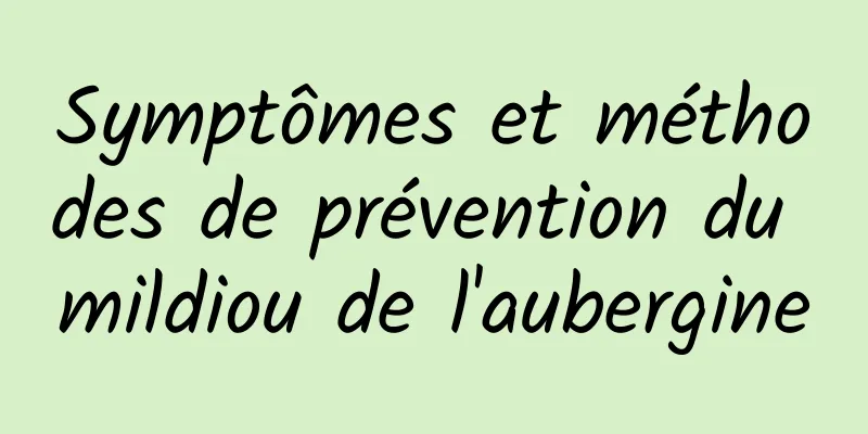 Symptômes et méthodes de prévention du mildiou de l'aubergine