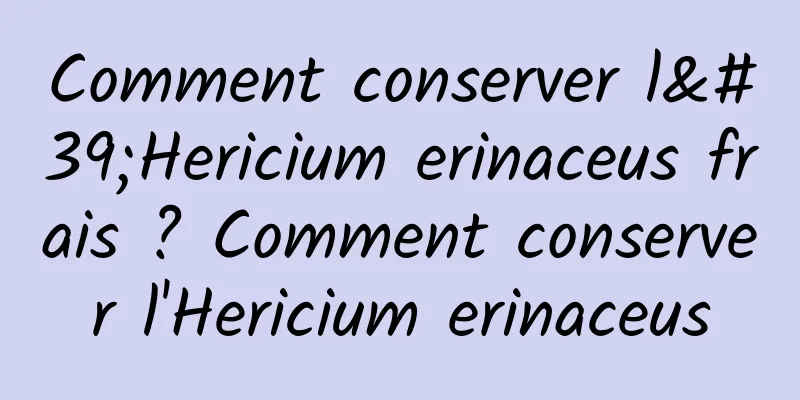 Comment conserver l'Hericium erinaceus frais ? Comment conserver l'Hericium erinaceus