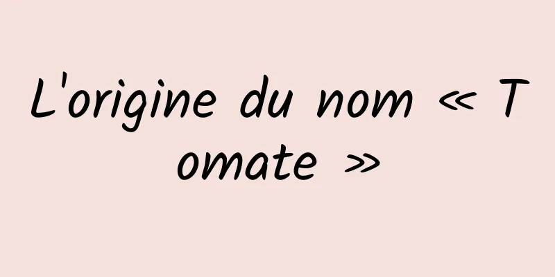 L'origine du nom « Tomate »