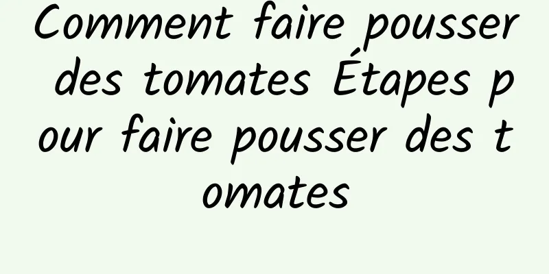 Comment faire pousser des tomates Étapes pour faire pousser des tomates