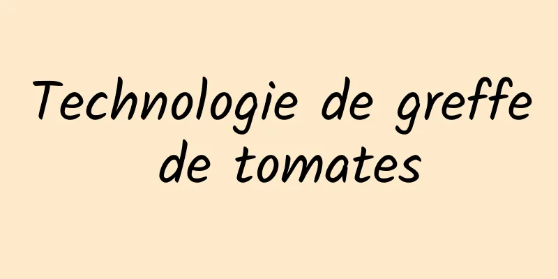 Technologie de greffe de tomates