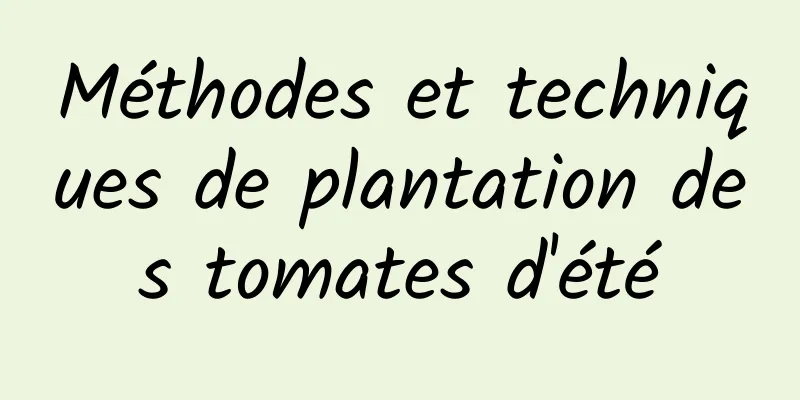 Méthodes et techniques de plantation des tomates d'été