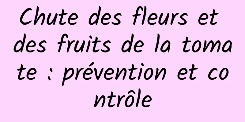 Chute des fleurs et des fruits de la tomate : prévention et contrôle