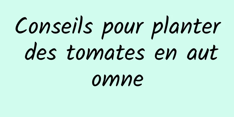 Conseils pour planter des tomates en automne