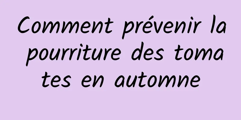 Comment prévenir la pourriture des tomates en automne