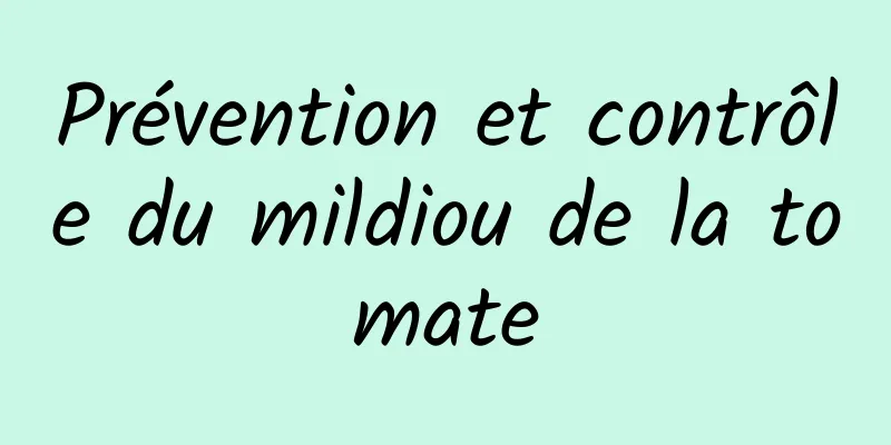 Prévention et contrôle du mildiou de la tomate