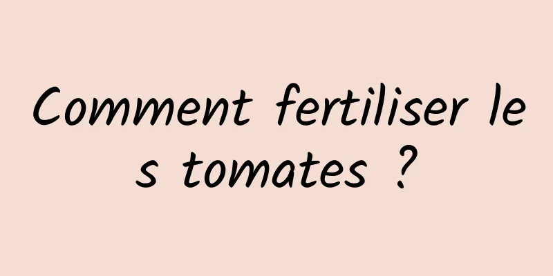 Comment fertiliser les tomates ?