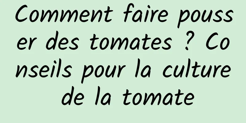 Comment faire pousser des tomates ? Conseils pour la culture de la tomate