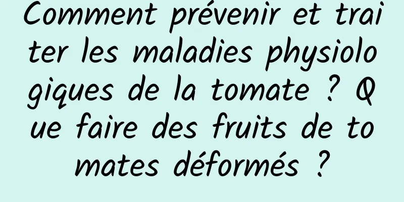 Comment prévenir et traiter les maladies physiologiques de la tomate ? Que faire des fruits de tomates déformés ?