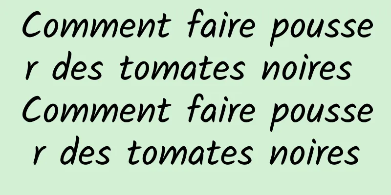 Comment faire pousser des tomates noires Comment faire pousser des tomates noires