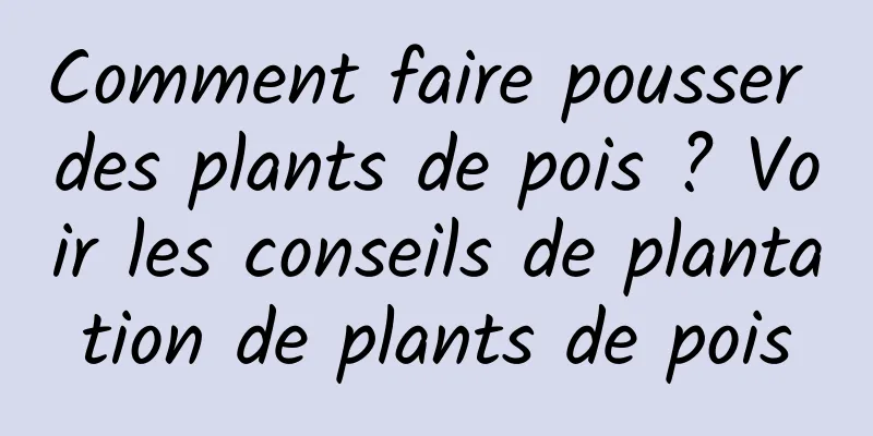 Comment faire pousser des plants de pois ? Voir les conseils de plantation de plants de pois