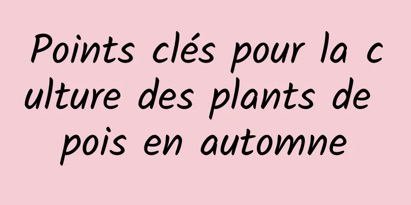 Points clés pour la culture des plants de pois en automne