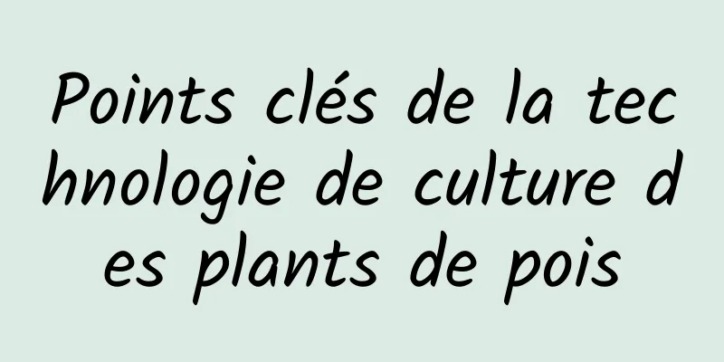 Points clés de la technologie de culture des plants de pois