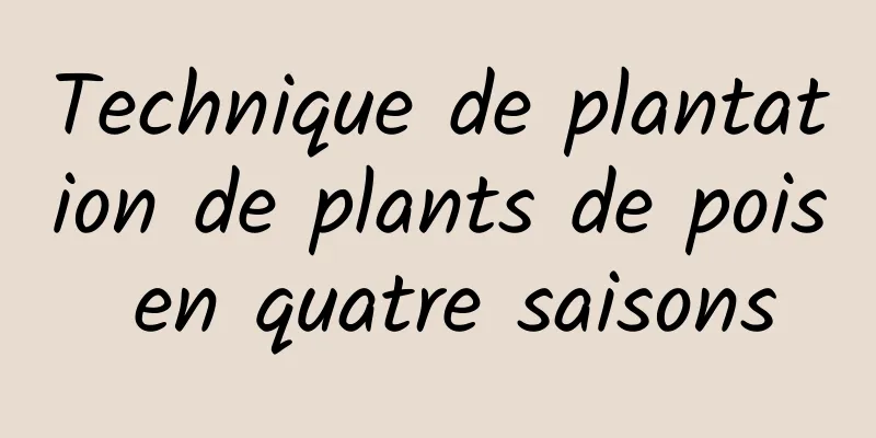 Technique de plantation de plants de pois en quatre saisons