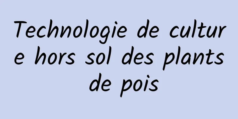 Technologie de culture hors sol des plants de pois