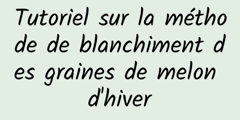 Tutoriel sur la méthode de blanchiment des graines de melon d'hiver