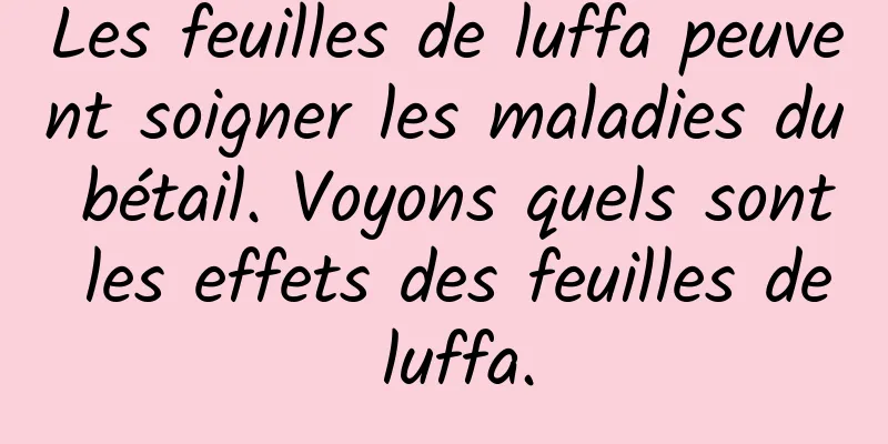 Les feuilles de luffa peuvent soigner les maladies du bétail. Voyons quels sont les effets des feuilles de luffa.