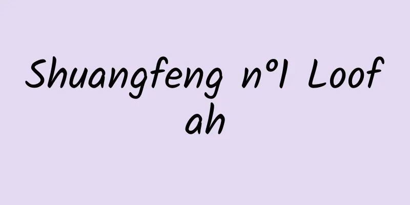 Shuangfeng n°1 Loofah