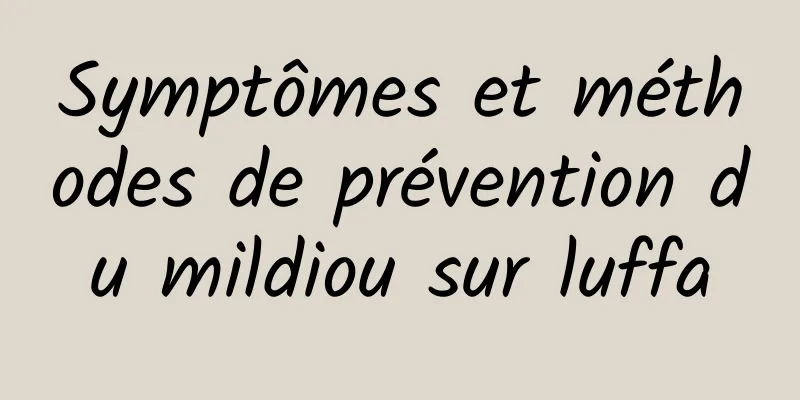 Symptômes et méthodes de prévention du mildiou sur luffa