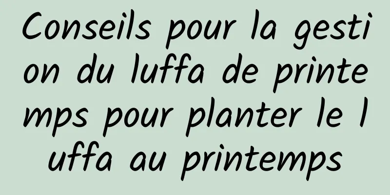 Conseils pour la gestion du luffa de printemps pour planter le luffa au printemps